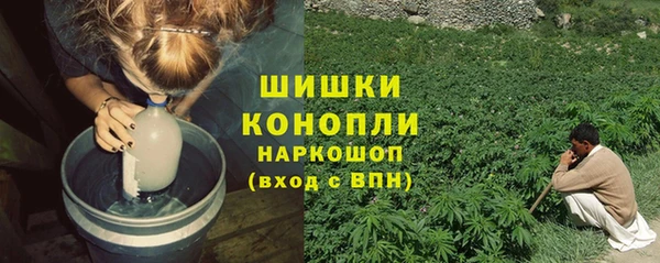 дурь Алексеевка